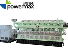 300系列天然氣發(fā)電機(jī)組