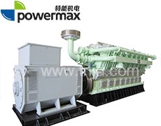 300系列沼氣發(fā)電機(jī)組